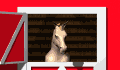 animace41.gif