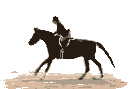 animace55.gif